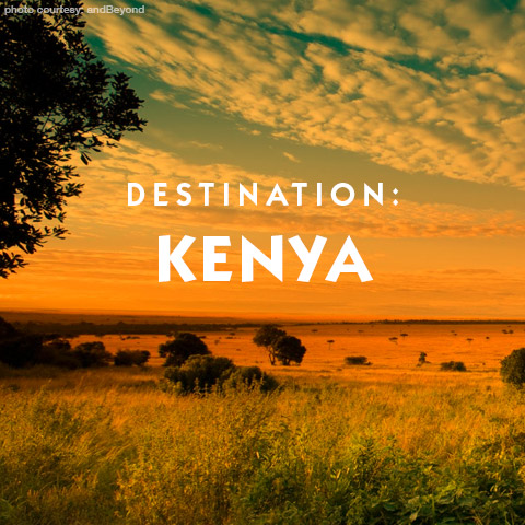  Destination Kenya Basic Travel information 
