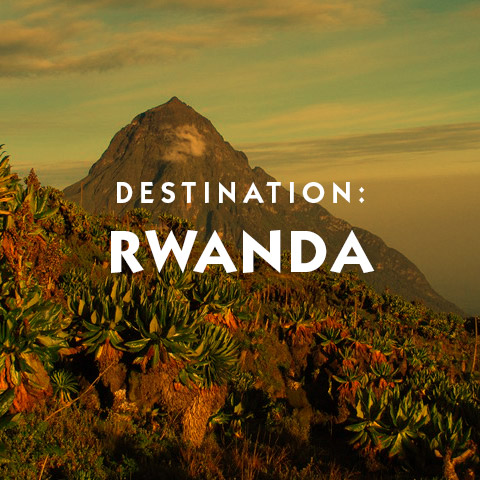  Destination Africa Rwanda Basic Travel information 