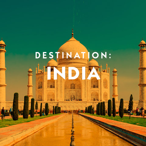 Destination India some basic information and travel assistance