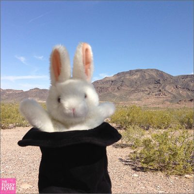 The Travel Bunny: On the road to Arizona