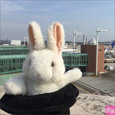 The Travel Bunny: Venice Marco Polo Airport