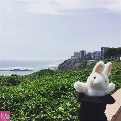 The Travel Bunny: Miraflores, Lima, Peru