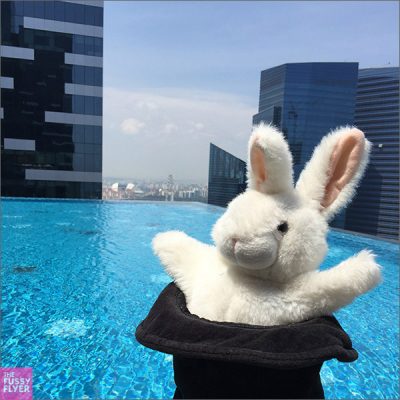 The Travel Bunny: Hanging out at the pool at the Westin, Singapore