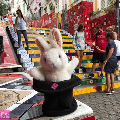 The Travel Bunny: Escadaria Selarón, Rio de Janeiro, Brazil
