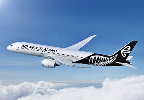 the Air New Zealand livery nice with the New Zealand Fern Mark