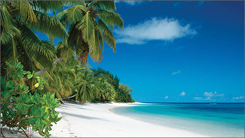 Four Seasons Seychelles at Desroches Island Private Island Getaway Private Client Luxury Travel