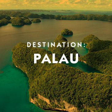Looking for off the beaten path, it's Palau Private Client Luxury Travel
