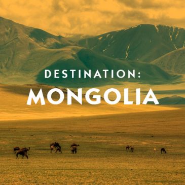 Expert Travel Assistance in Mongolia Private Client Luxury Travel