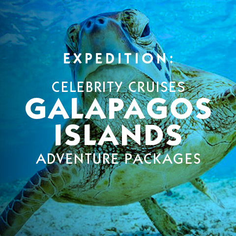 Cruise Celebrity Cruises Galapagos Islands Ocean Cruise Yachting Expedition River Boating suggestions basic information