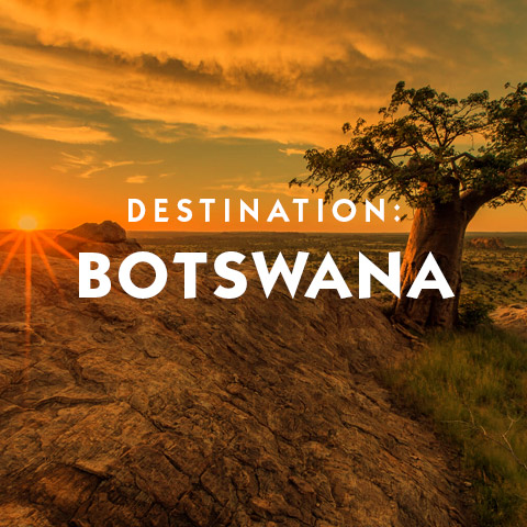 Destination Botswana Africa hotel suggestions basic information and travel assistance