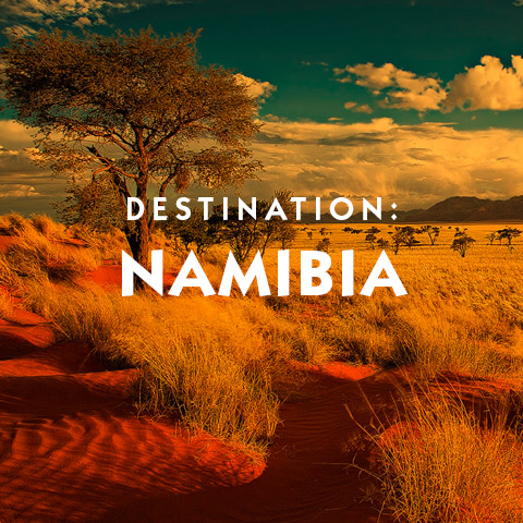 Destination Namibia Africa hotel suggestions basic information and travel assistance