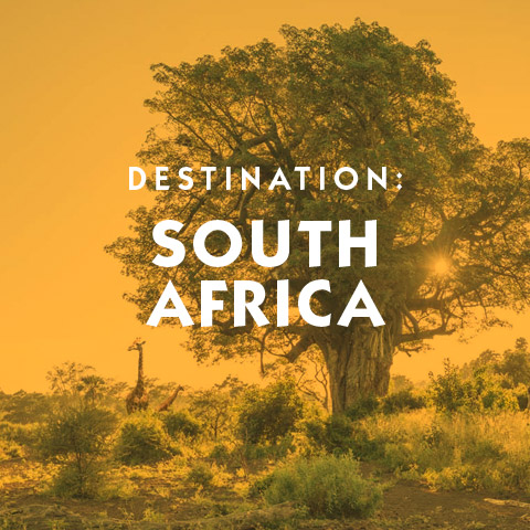 Destination South Africa hotel suggestions basic information and travel assistance