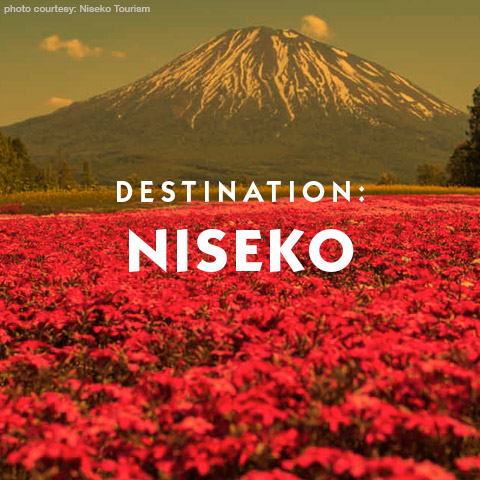 Destination Niseko Hokkaido Private Client Luxury Travel hotel suggestions basic information and expert travel assistance