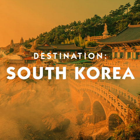 Destination South Korea hotel suggestions basic information and travel assistance