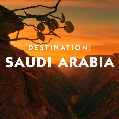 Destination Saudi Arabia hotel suggestions basic information and travel assistance