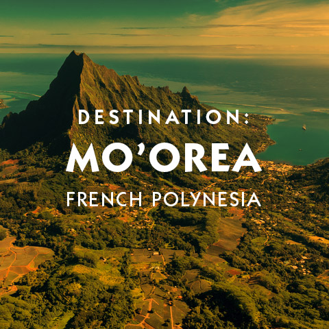 Destination Mo'orea French Polynesia Society Islands hotel suggestions basic information and travel assistance