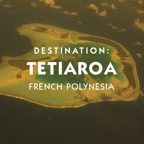 Destination Society Islands Tetiaroa Private Island Reserve hotel suggestions basic information and travel assistance