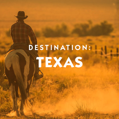 Destination Texas hotel suggestions basic information and travel assistance