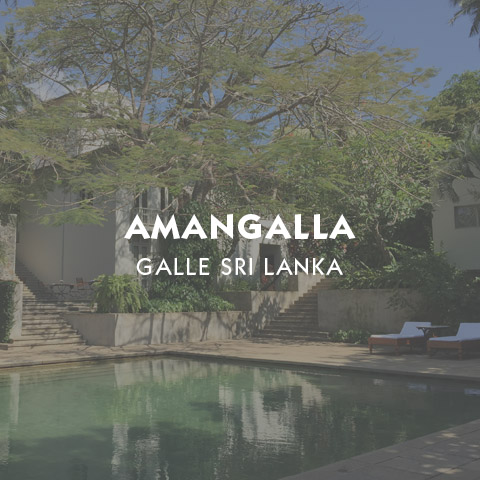 Amangalla Galle Sri Lanka Luxury Hotel and Resort information page