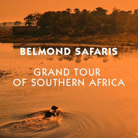 Belmond Safaris The Grand Tour of Southern Africa Basic Information about one of the Global Leaders in Travel