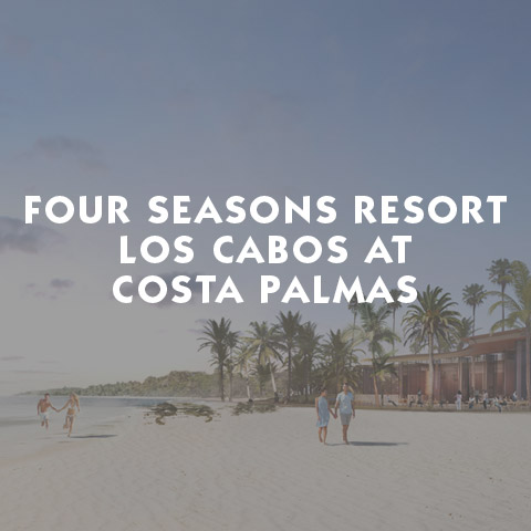 Four Seasons Resort Los Cabos At Costa Palmas Luxury Hotel and Resort information page