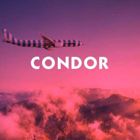 Basic Information about flying Condor a Major Airline
