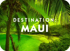 Destination The Island of Maui
 General Information Page and travel assistance