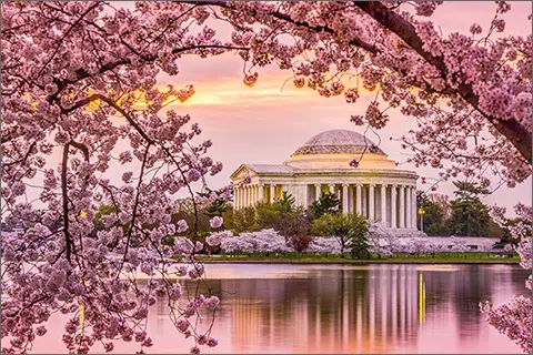 Where is Washington DC District of Columbia Private Client Luxury Travel expert travel assistance