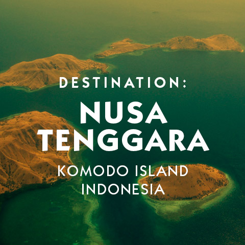 The Best Hotels in Nusa Tenggara Komodo Island Private Client Luxury Travel expert travel assistance