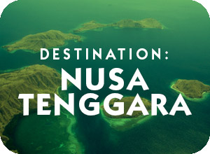 Destination Nusa Tenggara / Komodo Island General Information Page and travel assistance