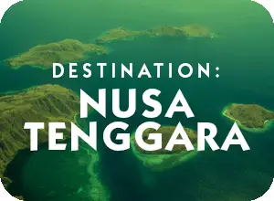 Destination Nusa Tenggara / Komodo Island General Information Page and travel assistance