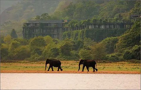 Heritance Kandalama Dambulla The Best Hotel in Sri Lanka Preferred and Recommended Hotel and Lodgings 