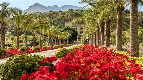 Castell Son Claret The Best Hotel in Mallorca and the Balearic Islands Preferred and Recommended Hotel and Lodgings 