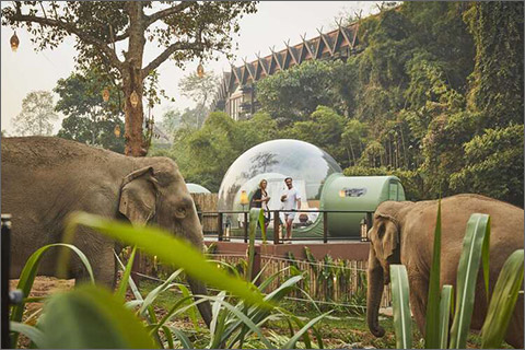 Anantara Golden Triangle Elephant Camp & Resort The Best Hotels in Golden Triangle Chiang Rai Northern Thailand Preferred and Recommended Hotel and Lodgings 