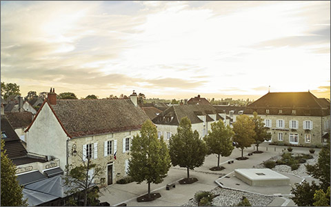 COMO Le Montrachet Côte-d'Or The Best Hotel and Resorts in the world Thom Bissett Travel Private Client Luxury Travel
