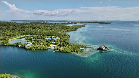 Sweet Bocas Private Island Panama The Best Serviced Apartments Homes and Villas 