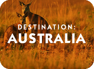 Destination Australia hotel suggestions basic information and travel assistance