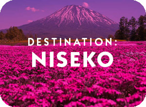 Destination Niseko Hokkaido General Information Page and travel assistance